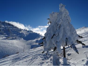 Image pour : 5 Heures WEB (Hirmentaz)